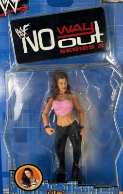 WWF No Way Out, Series 2
