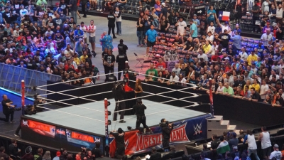 flickr122801678_N03wrestlemania323.jpg