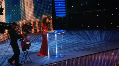 flickrlepresqueyesmouvementwrestlemaniafame17.jpg