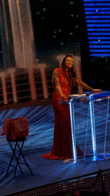 flickrlepresqueyesmouvementwrestlemaniafame46.jpg
