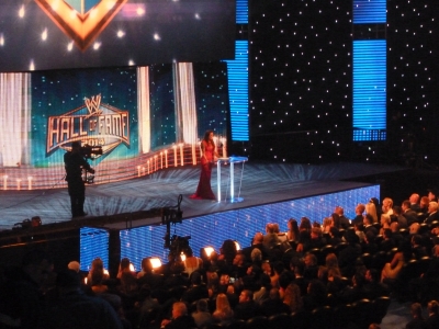 flickrlepresqueyesmouvementwrestlemaniafame48.jpg