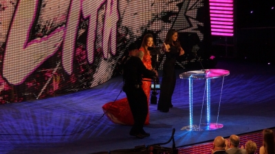 flickrlepresqueyesmouvementwrestlemaniafame5.jpg