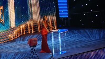 flickrlepresqueyesmouvementwrestlemaniafame8.jpg