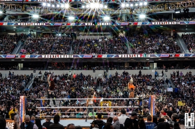 heymanhustlewrestlemania10.jpg