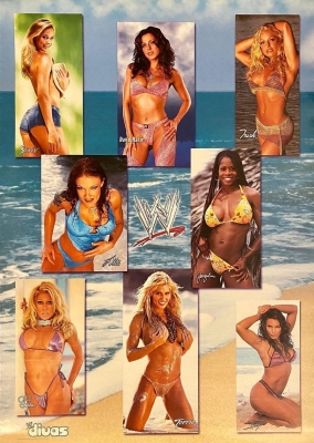 "WWE Divas" Poster
