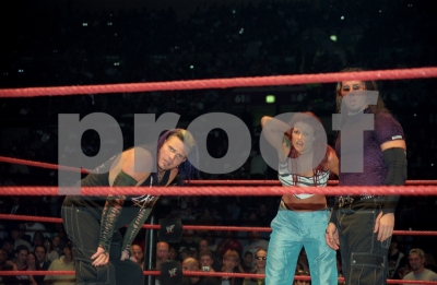 smugmuggeorgetahinoswrestling30.jpg
