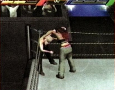 wrestlemania18guide14.jpg