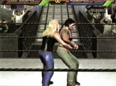 wrestlemania18guide21.jpg
