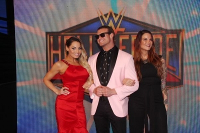 wrestlingfigshalloffamered2.jpg