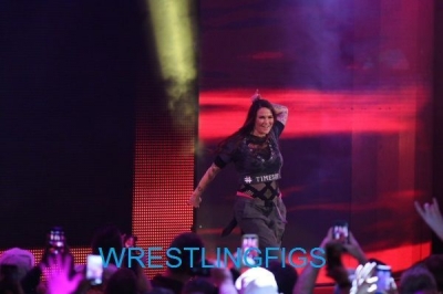 wrestlingfigsroyalrumble1.jpg