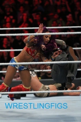 wrestlingfigsroyalrumble2.jpg