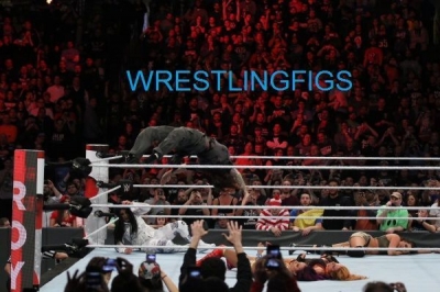 wrestlingfigsroyalrumble3.jpg
