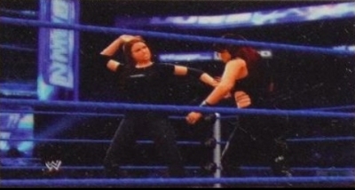 wwe13guide16.jpg