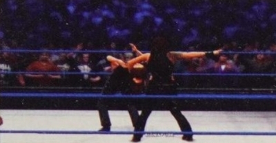 wwe13guide22.jpg
