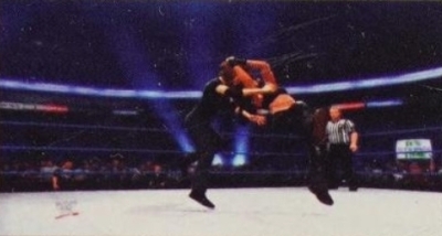 wwe13guide23.jpg