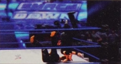wwe13guide24.jpg