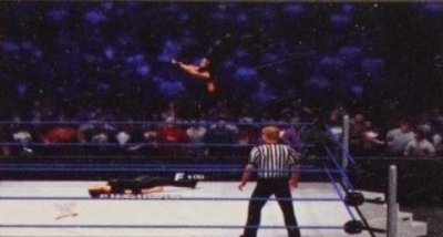 wwe13guide25.jpg