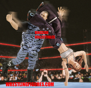 ringsidecollectiblesfinishingmoves2.jpg
