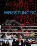 WWE-Royal-Rumble-1-28-18-1375.jpg
