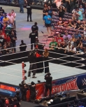 flickr122801678_N03wrestlemania325.jpg