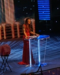 flickrlepresqueyesmouvementwrestlemaniafame13.jpg