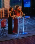 flickrlepresqueyesmouvementwrestlemaniafame24.jpg
