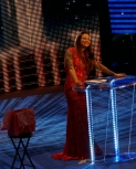 flickrlepresqueyesmouvementwrestlemaniafame46.jpg