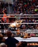 gettyimageswrestlemania3914.jpg