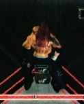 rawguide10.jpg