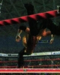 rawguide11.jpg