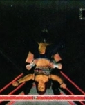 rawguide13.jpg