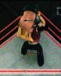 rawguide7.jpg