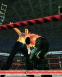 rawguide8.jpg