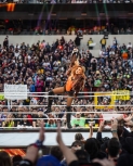 smugmugkimberlasskickswrestlemaia5.jpg