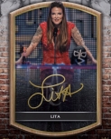 toppsdigitalmuseumhalloffame1.jpg