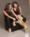 Filename=trishstratusbehindthescenesshoot4.jpg
Filesize=70KiB
Dimensions=373x500
Date added=Feb 05, 2015 trishstratusbehindthescenesshoot4.jpg