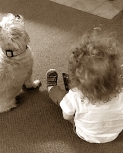 trishstratusnyphotodiary10.jpg
