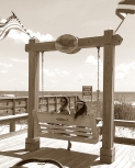trishstratusnyphotodiary2.jpg
