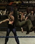 wrestlemania18guide12.jpg