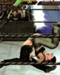 wrestlemania18guide20.jpg