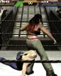 wrestlemania18guide22.jpg
