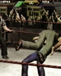wrestlemania18guide25.jpg