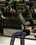 wrestlemania18guide26.jpg