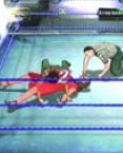 wrestlemania19guide12.jpg