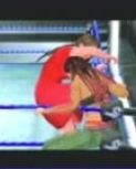 wrestlemania19guide24.jpg