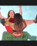 wrestlemania19guide9.jpg