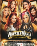 wrestlemania39program6.jpg