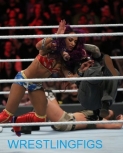 wrestlingfigsroyalrumble2.jpg