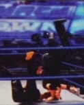 wwe13guide24.jpg