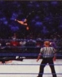 wwe13guide25.jpg